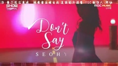 徐玄(少女时代) - Don't Say No - Show champion 现场版 中字 17/01/25
