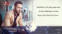 欧美群星 - Tamer Ashour