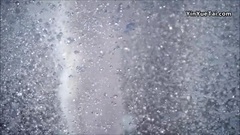 New - Kiss the Earth