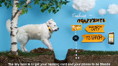 音乐短片 - 让我放开你的金毛猎犬