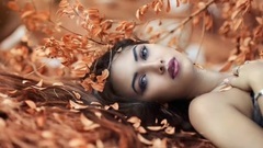 音乐短片 - The Colors Of Autumn
