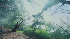 钟汉良 - 电视剧<孤芳不自赏>楚北捷中白兰奸计