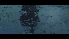 Miró - Reverse
