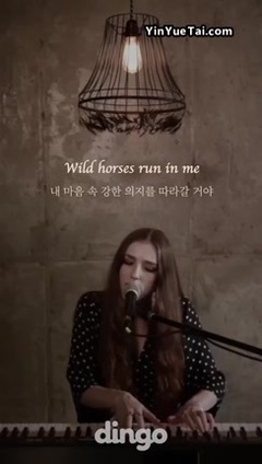 Birdy - Wild Horses (Live at Dingo Music Korea)