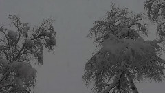 音乐短片 - Merry Christmas  (1)