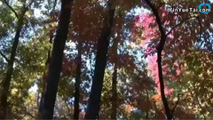 音乐短片 - Where Are The Best Spots To See Autumn Color