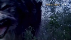 Angelababy - 孤芳不自赏剧透45