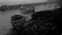 The Tumbled Sea - Were Turning Into Regular People