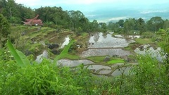 音乐短片 - Frederic Delarue