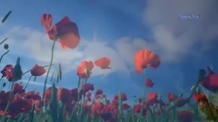 音乐短片 - Frederic Delarue. Peace