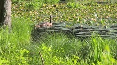 音乐短片 - Secret Garden (2)