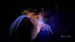 音乐短片 - With You