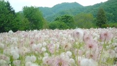 音乐短片 - Tell It Like It Is