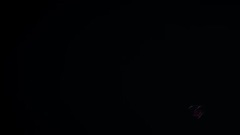 音乐短片 - Petra