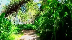 音乐短片 - Ночевка на Көк-Жайлау