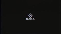 BIGFLO - Stardom