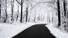 音乐短片 - Secret Garden. Sanctuary