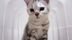 音乐短片 - 只是朋友