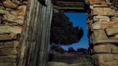 音乐短片 - 夏日星