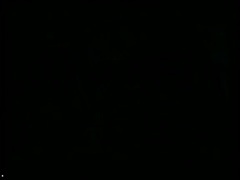 欧美群星 - Не верю