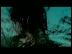欧美群星 - Я украду