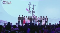 杨幂 - 电视剧<三生三世十里桃花>发布会之媒体采访环节