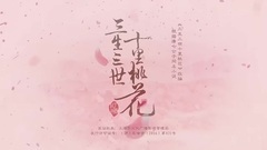 杨幂 - 电视剧<三生三世十里桃花>于朦胧CUT 11