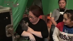 杨幂 - 电视剧<三生三世十里桃花>花絮:萌猫师兄成长记