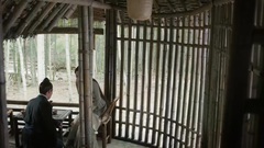 杨幂,赵又廷 - 电视剧<三生三世十里桃花>素素主动要求夜华以身相许