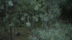杨幂,赵又廷 - 电视剧<三生三世十里桃花>夜华突然消失素素急哭