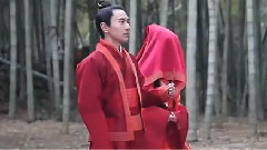 杨幂,赵又廷 - 电视剧<三生三世十里桃花>花絮:一波三折的婚礼