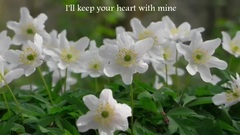 音乐短片 - Penelope's Song