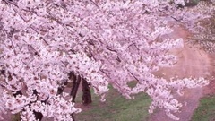 音乐短片 - Return To The Heart