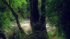 音乐短片 - 忧郁的雨 Stive Morgan