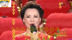 董卿 - 春晚正确打开方式