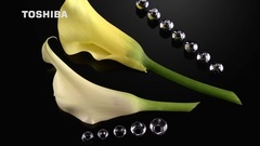 音乐短片 - 东芝高清演示片