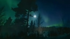 音乐短片 - 失恋鸟之歌(Song Of The Birds)