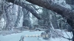 影视原声 - 电视剧<幻城>片段之马天宇偷看张萌练功