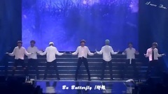 防弹少年团 - Butterfly