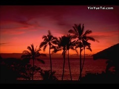 音乐短片 - Expression