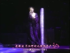 中森明菜 - 痛い恋をした(95live)