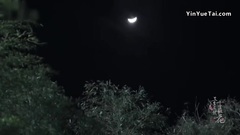 杨幂 - 冷夜雨
