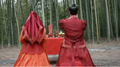 杨幂 - 十里桃花之抢先看 杨幂赵又廷大婚