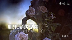 龙梅子 - 如果没遇见你