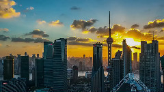 音乐短片 - 自然与智慧的完美