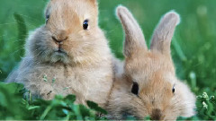 音乐短片 - 朋友又在朋友圈里秀恩爱,现在都流行这种方法么?转来给大家看看