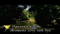 音乐短片 - Благодати Твоей