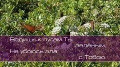 音乐短片 - Водишь к лугам Ты зелёным