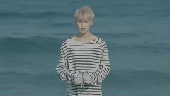 防弹少年团 - Spring & Punch