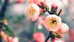 音乐短片 - 立春